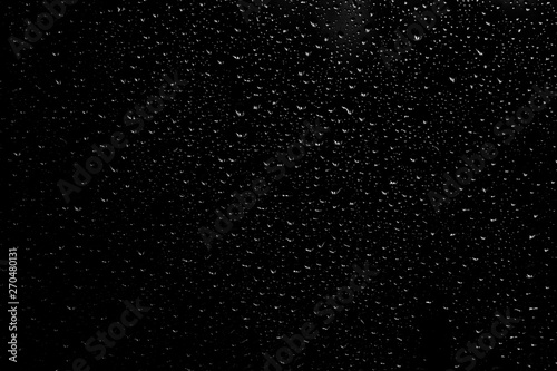 Water raindrops droplets on black background