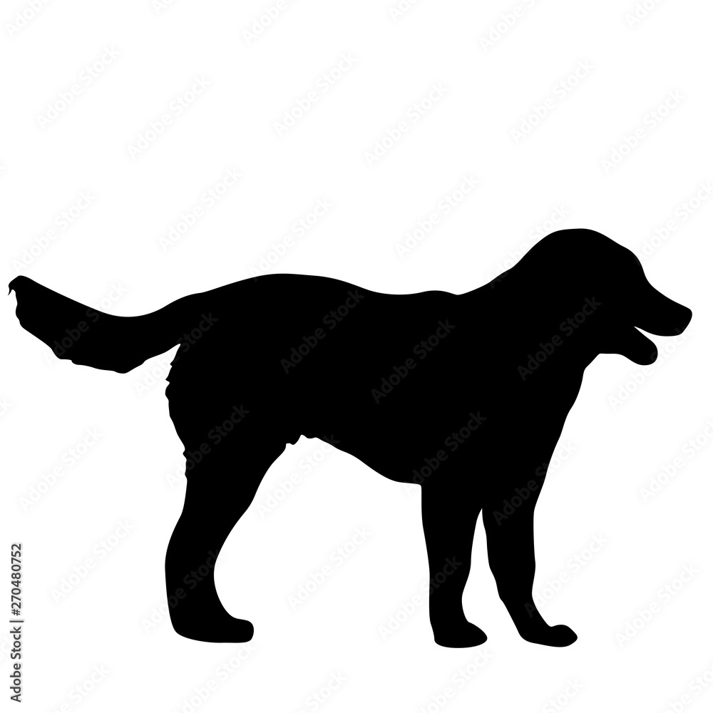 Shepherd dog silhouette on a white background