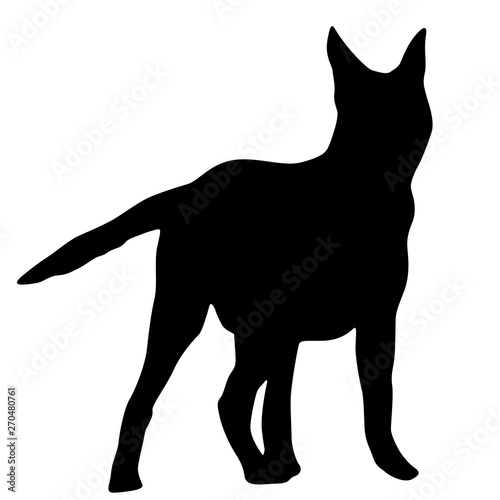 Shepherd dog silhouette on a white background