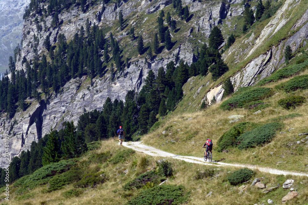 Wanderung im Zemmgrund