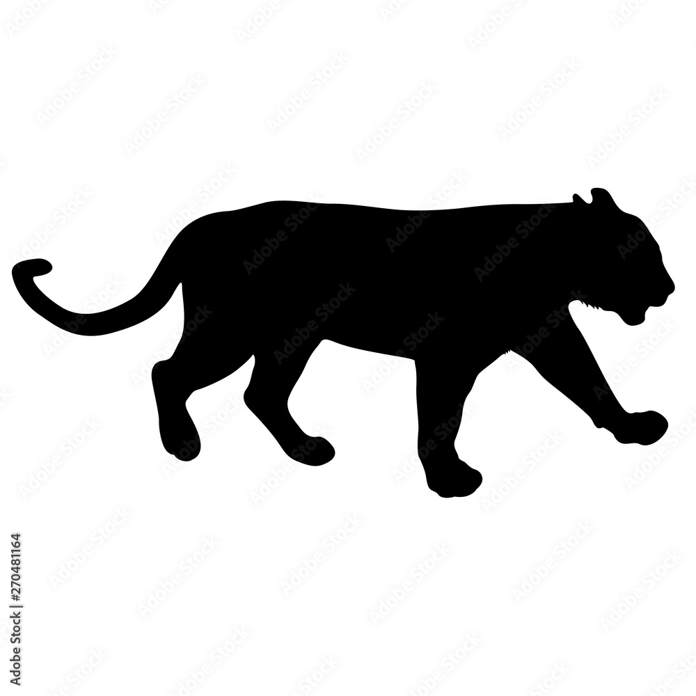 Silhouette of the lioness on a white background