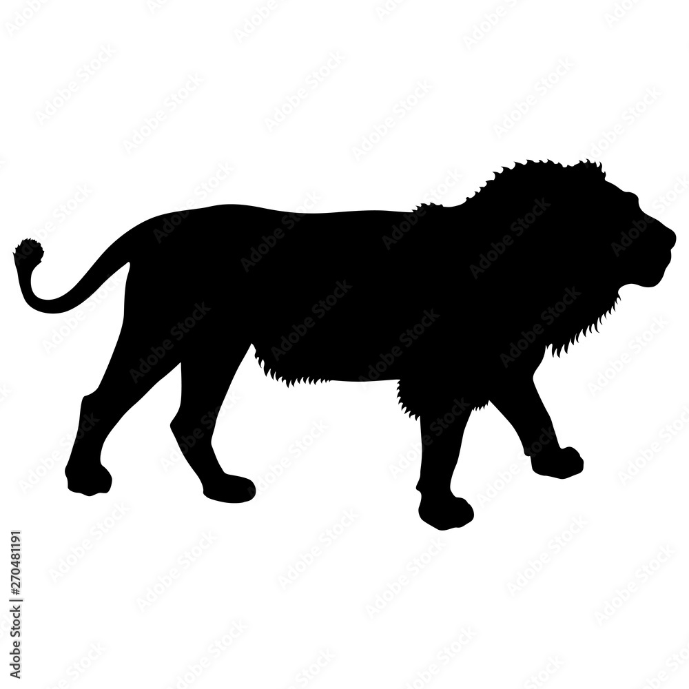 Silhouette of the Lion on a white background