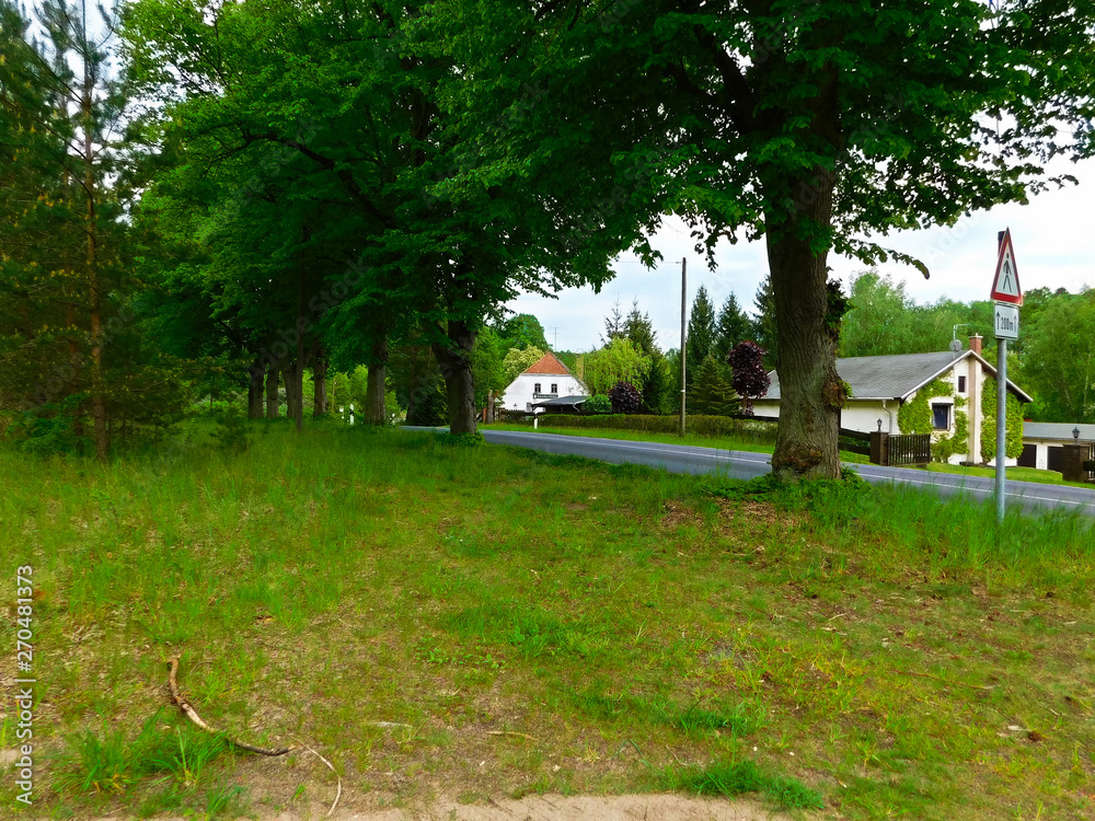 Die atemberaubende Naturlandschaft in der Uckermark Die atemberaubende Naturlandschaft in der Uckermark