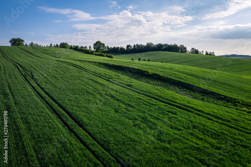 beautiful green field