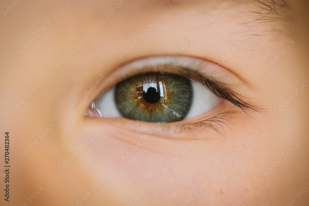 Fototapeta premium Green Eye with Gold 