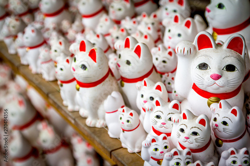 Tokio Katzen Tempel Japan