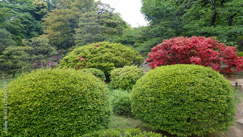 日本庭園