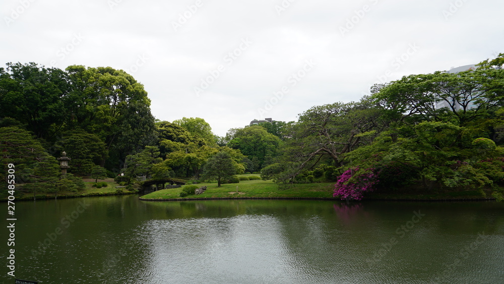 Fototapeta premium 日本庭園