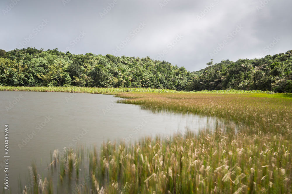 Fototapeta premium the Grand Etang Lake