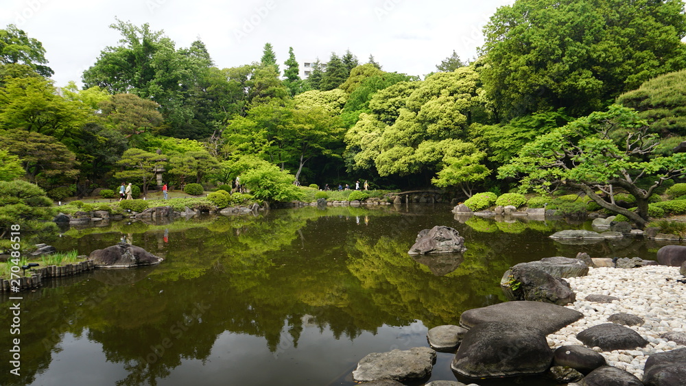 Fototapeta premium 日本庭園