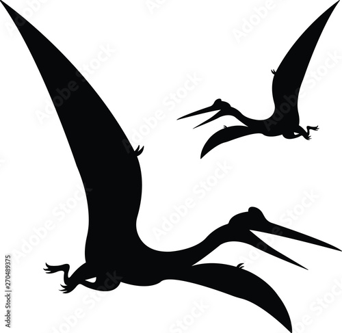 Two flying black Pteranodon Pterodactyl  vector silhouette illustration isolated on white background