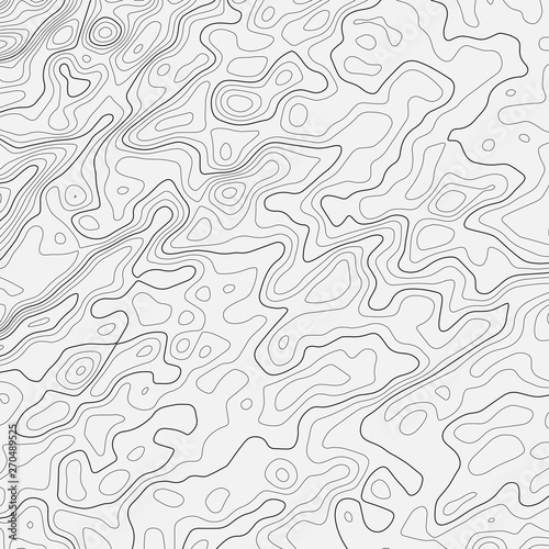 Topographic map lines background. Abstract vector illustration. Contour vector map.