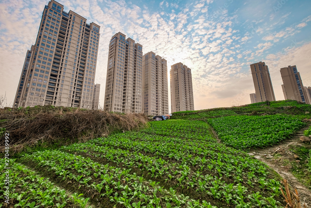 Fototapeta premium High rise residential areas with rural view