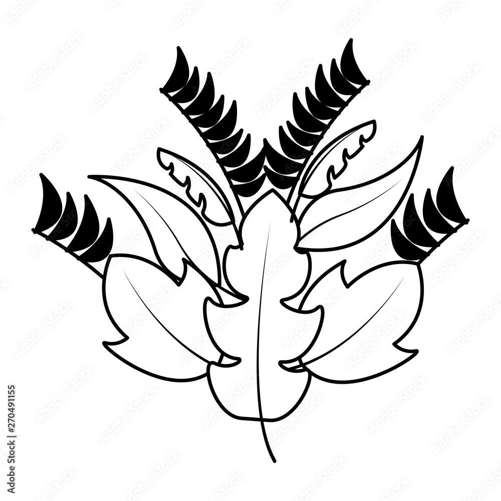 Obraz premium botanical leaf foliage arrangement