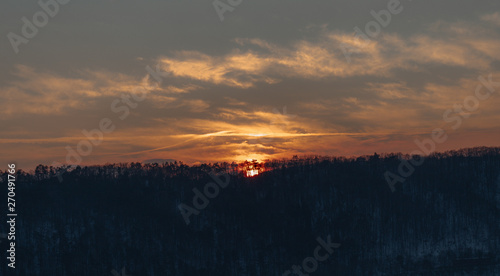 Sun is setting down, lowering behind trees. Sunset over forest. © Radovan