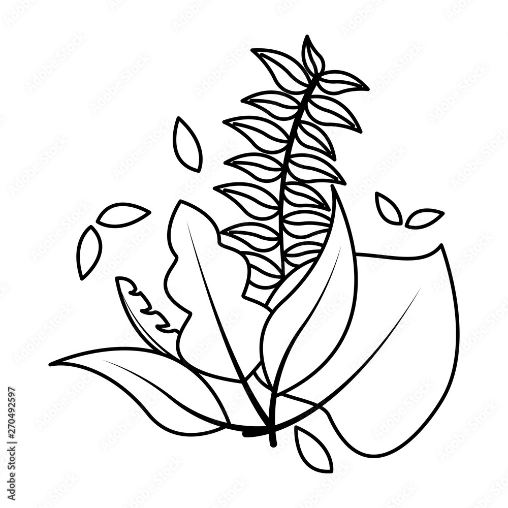 Naklejka premium botanical leaf foliage arrangement