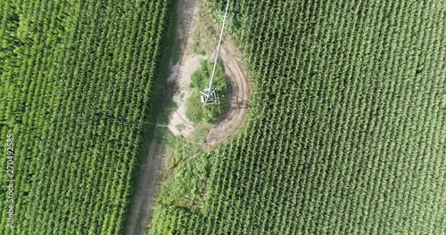 Aerial zoom out of irrigated corn fields photo