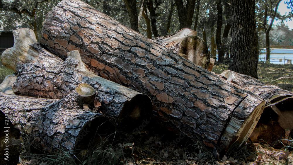 Fototapeta premium Stack of firewood. Cut up log pile.