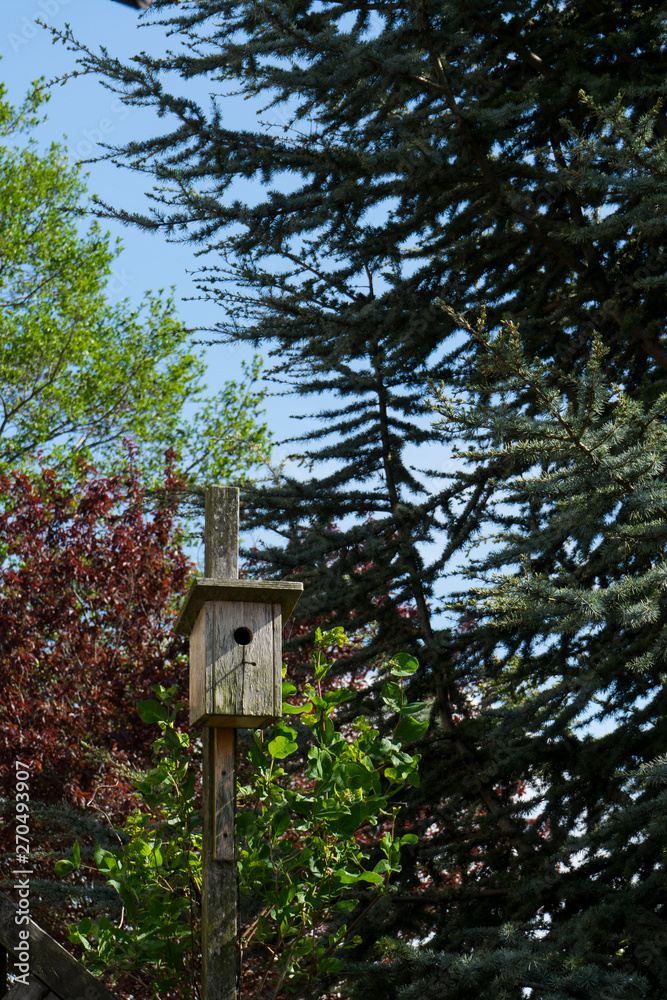 Lovely birdhouse in the colorful nature trees with a perfect blue sky. Wooden birdhouse with green and red trees around it.