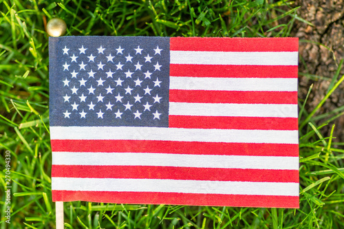 Flag of the United States. Green grass background. Celebration concept, Memorial Day, 4th of July , USA Independence Day.