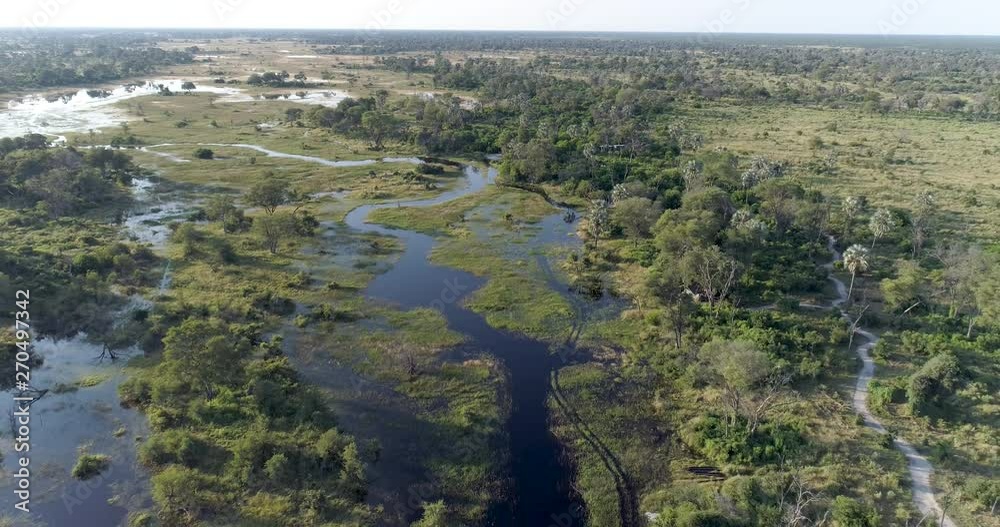 High aerial view of the waterways and lagoons of the Okavango Delta
