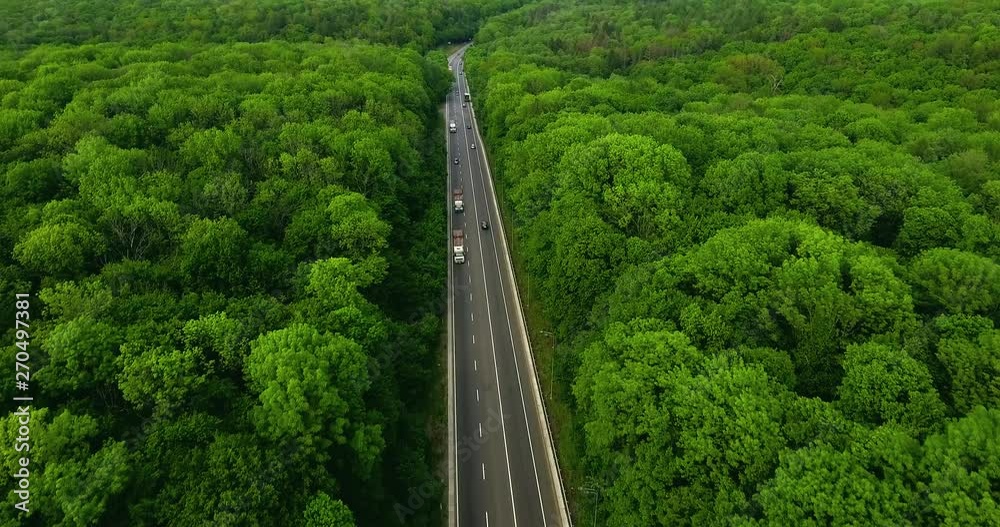 Aerial view flying over road with car moving, that through lane green forest. Car driving along the forest road. AERIAL: Car driving through pine forest. Drone shot from above