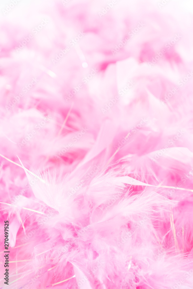 Pink feathers