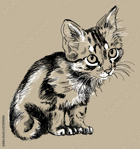 Cute tabby kitten . Drawing by hand in ink , woodcut .