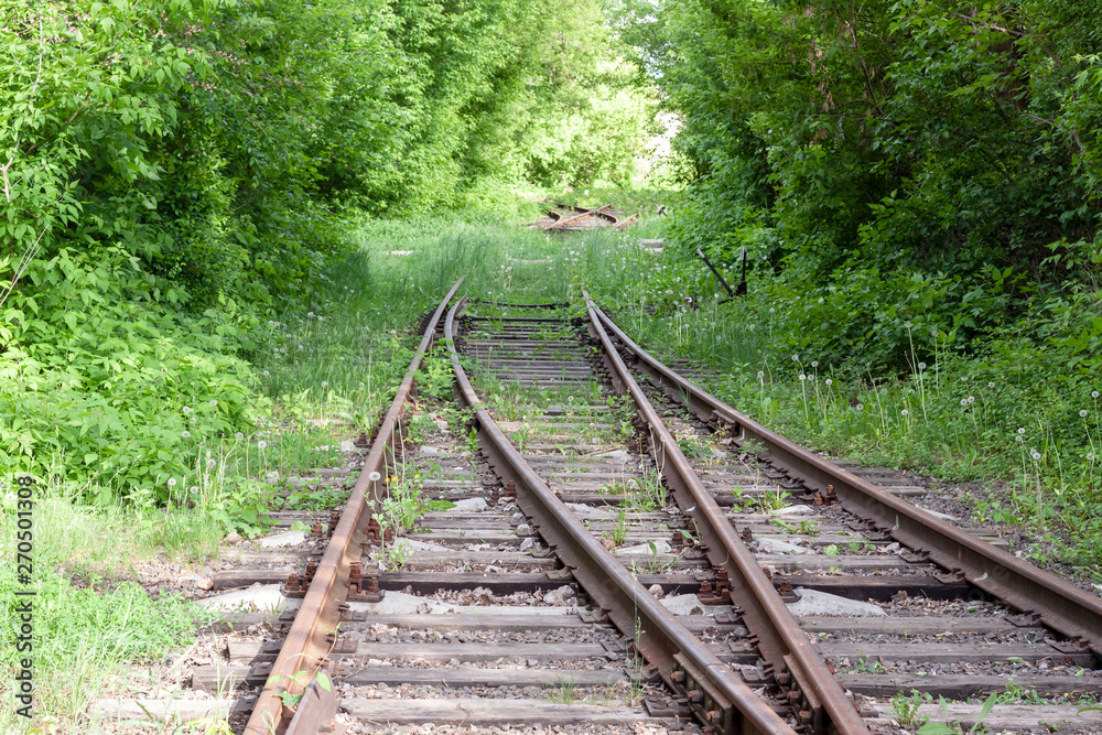 abandoned rail tracks with plants and green trees around. abandoned concept. abandoned rail tracks with plants and green trees around. abandoned concept.
