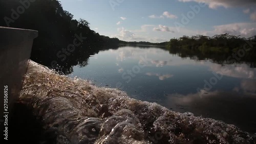 Sailing through the jungle flooded jungle in Pacaya Samiria National Reserve, Peru