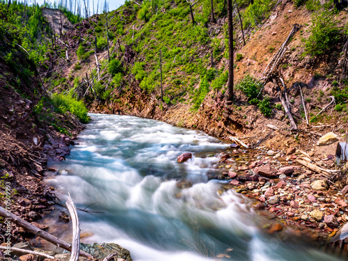 Canyon Creek, Flathead National Forest photo