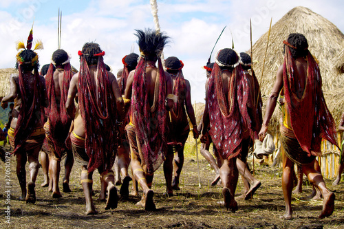 dani people during tribe festival in wamena-baliem valley-papuasia-indonesia