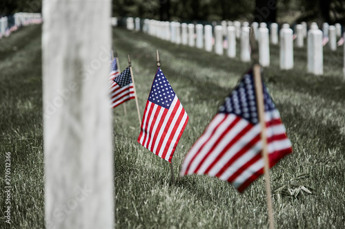 American Flags on Soldier's Gravesite