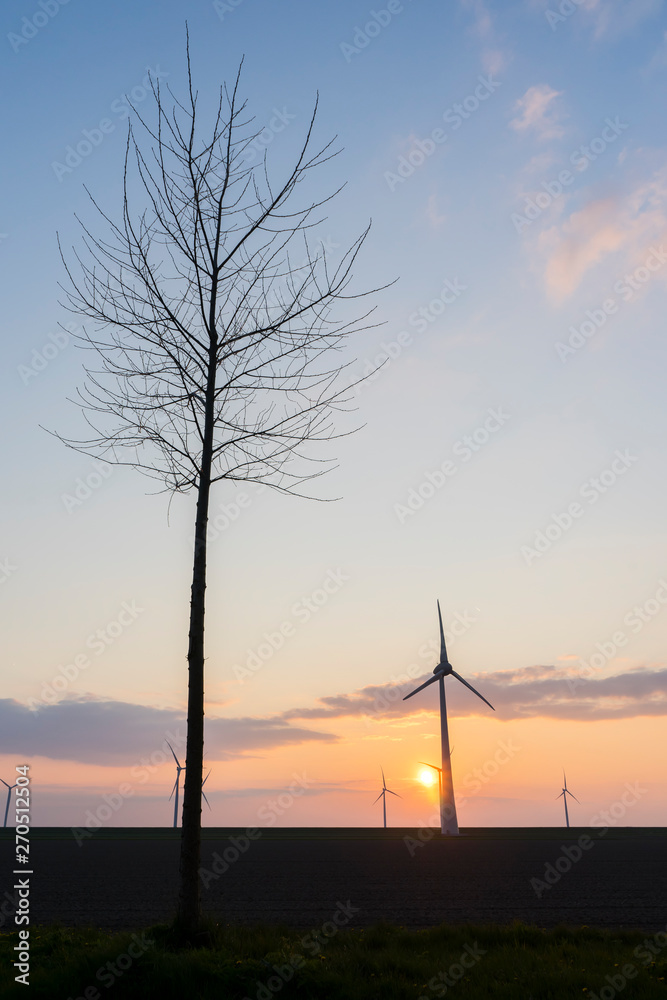 Obraz premium Amazing sunset composition of tree in the front with windturbines in the background. Yellow, orange sun and blue sky with green grass and some clouds. Amazing landscape straight horizon tree shot.