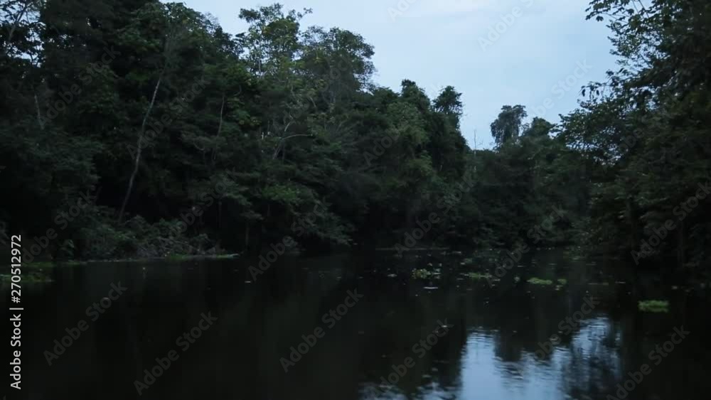 Sailing through the jungle flooded jungle in Pacaya Samiria National Reserve, Peru Sailing through the jungle flooded jungle in Pacaya Samiria National Reserve, Peru