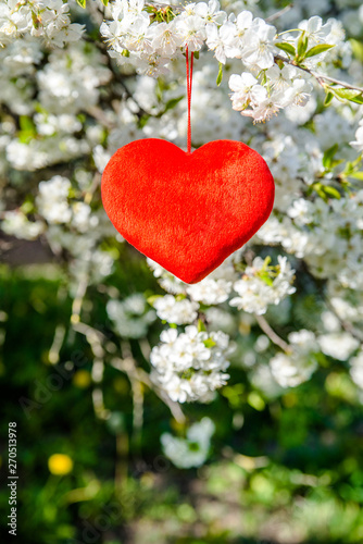 Red heart among the branches of the cherry 