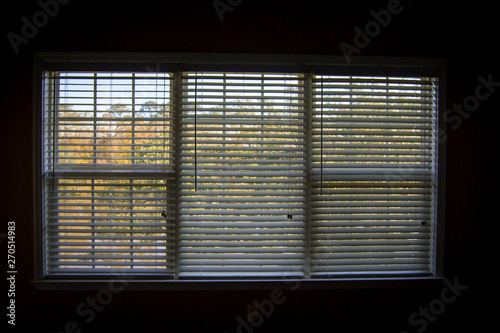 Front view of opened blinds