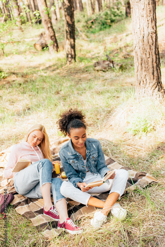 two multiethnic friends sitting on plaid blanket and reading books