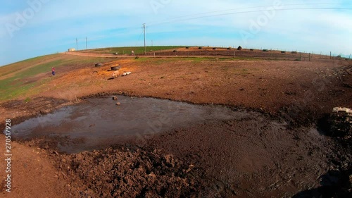 Locked shot of pigs in the mud and mud pool photo