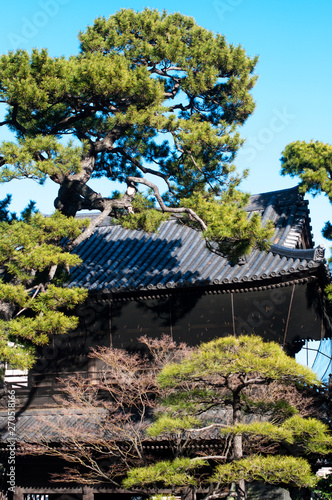 Japan and Korea architecture exterior design roof of ancient house structure photo image stock