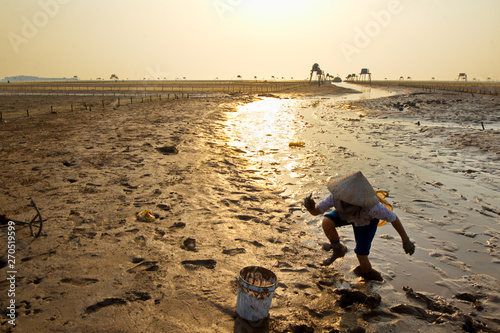 Sunset over Dong Chau beach in Thai Binh, Vietnam. This is a large farm for aquaculture, especially clams photo