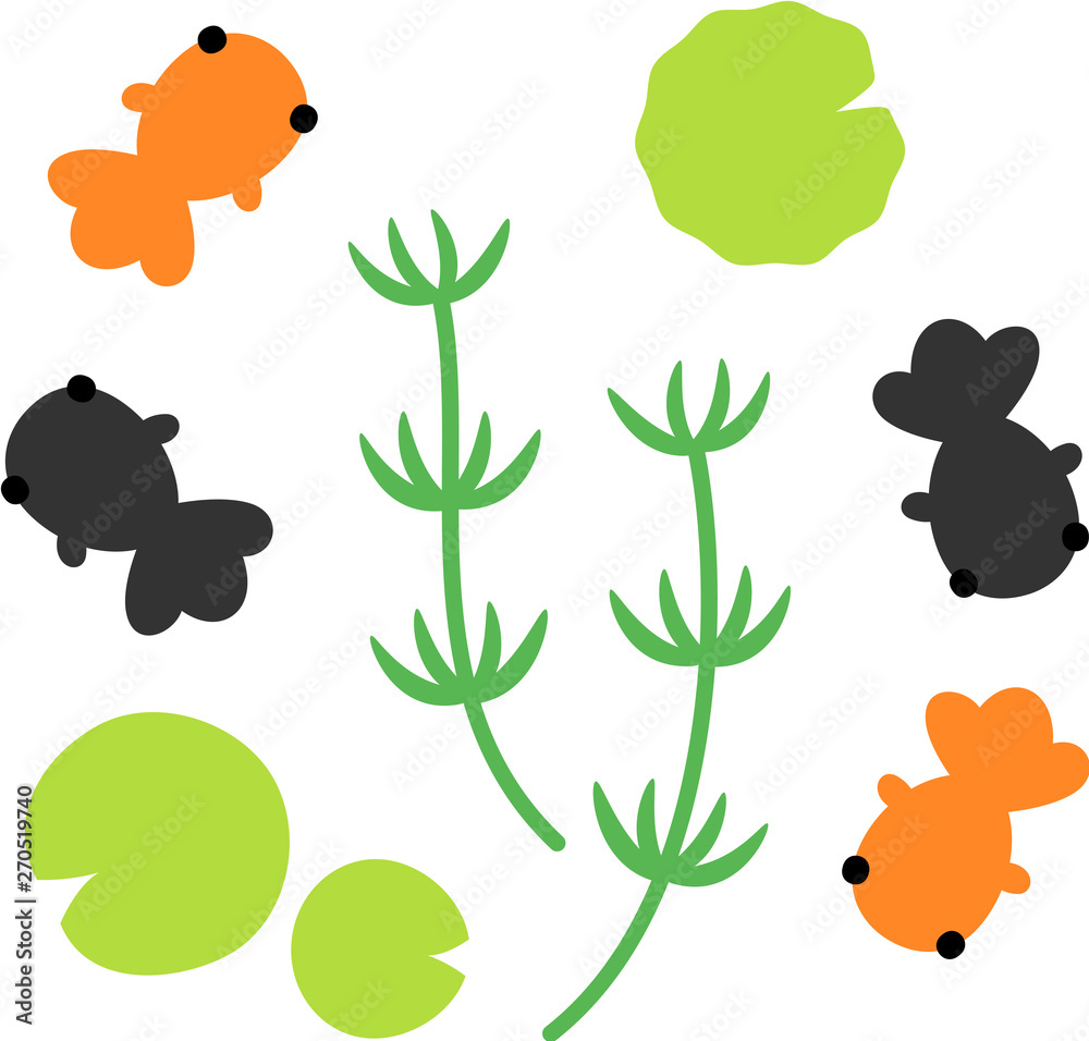上から見た金魚と水草 Stock ベクター Adobe Stock