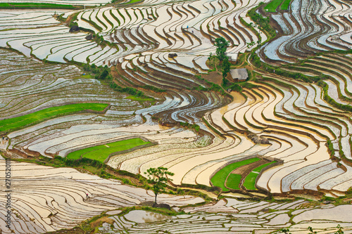 Landscapel of watered terraces in Y Ty, Lao Cai, Vietnam.