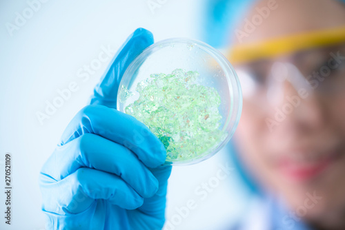 Photobioreactor in lab alga...