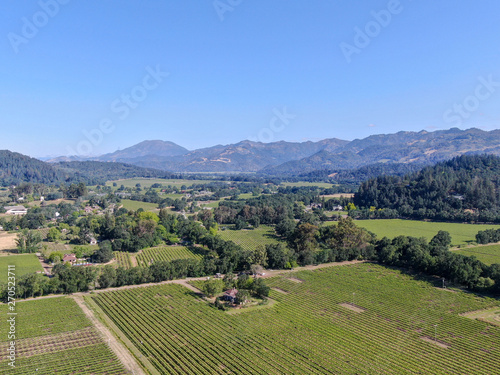 Aerial view of wine vineyard in Napa Valley during summer season. Napa County  in California s Wine Country  part of the North Bay region of the San Francisco Bay Area. Vineyards landscape.