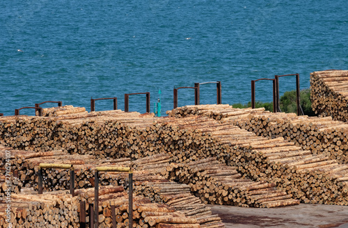 Timber logs ready for export on the dockside
