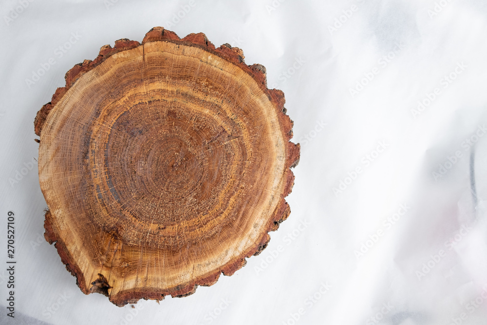 A piece of oak tree in the cut. View from above A piece of oak tree in the cut. View from above