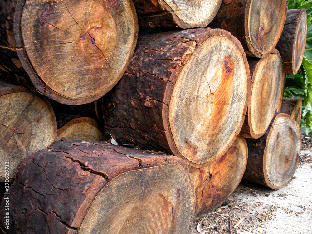 stock of wooden logs in big pile ready for cutting for fireplace stock of wooden logs in big pile ready for cutting for fireplace