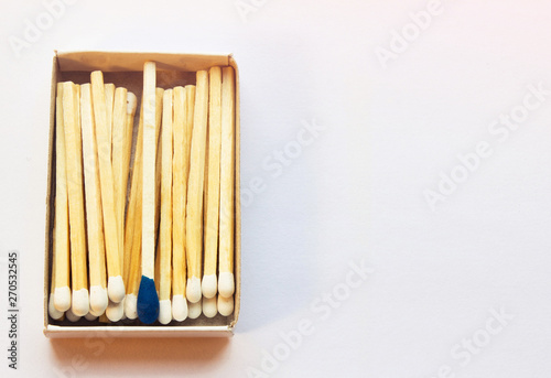 White matches and one match of blue color in a box. Self respect and yourself acceptance concept. Copyspace on the right side of the image for designers. Uniqueness and black sheep concept.