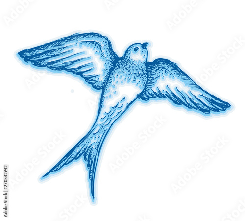 Hand drawn swallow illustration vector